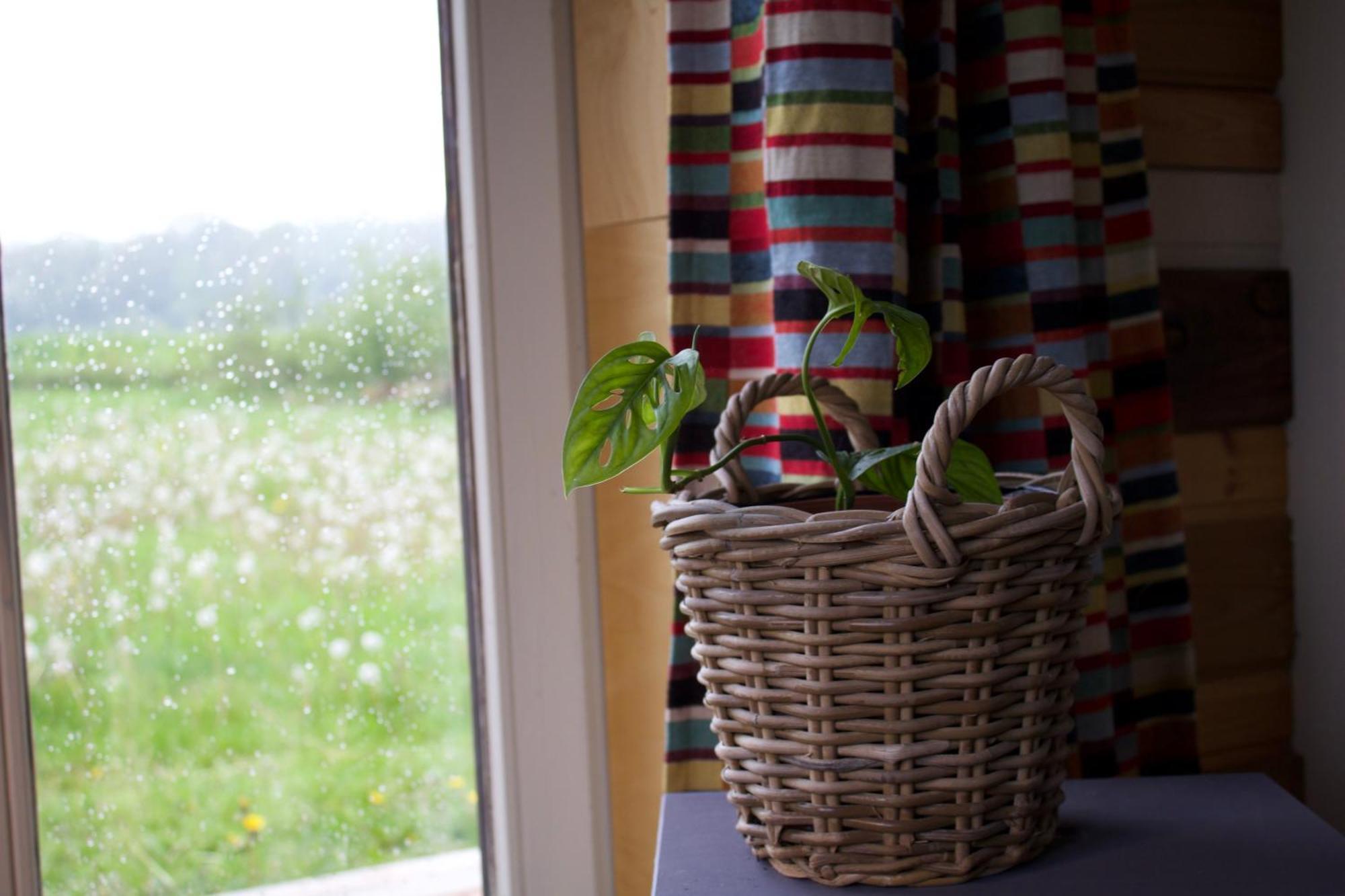 Tiny House Les Jours Heureux Sejour Nature Pres De Dinant Et Des Lacs De L Eau D Heure Villers-le-Gambon Exterior foto